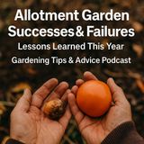🎧 Allotment Garden Successes & Failures: Lessons Learned This Year | Gardening Tips & Advice Podcast