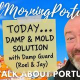 Damp Guard Portugal: Revolutionary Ventilation System to Beat Mold & Humidity