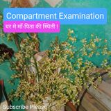 Episode 457 - Normal बातें । compartment examination के बाद माता-पिता अपने बच्चों को सिर्फ pass होने के लिए क्यों कह रहे हैं? । कैसी पढ़ाई !