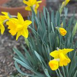 Spring Planting, Chaotic Markets, Agritourism and Leadership Lessons