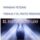 PARASHA TETZAVE - EL PACTO RENOVADO QUE INCLUYE A LOS GOYIM