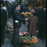 İsmet Özel-Kuşun Ölümü