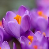 During Caregiving, How Do You Cope With So Many Endings?