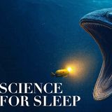 Science For Sleep. Deep Ocean_ What_s Hidden In The Abyss