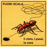 Il cielo, i passi, la casa: come si orienta la formica del deserto