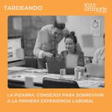 La Pizarra :: Consejos para sobrevivir a la primera experiencia laboral