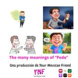 The many meanings of Pedo
