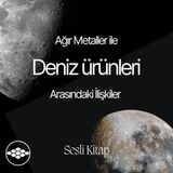 Ağır metaller ile deniz ürünleri arasındaki ilişkiler - Sesli kitap