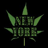 NEW YORK LEGAL CANNABIS!