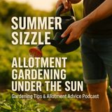 🎧 Summer Sizzle: Allotment Gardening Under the Sun | Gardening Tips & Allotment Advice Podcast