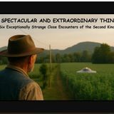A Spectacular and Extraordinary Thing: Six Exceptionally Strange Close Encounters of the Second Kind
