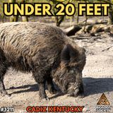 Kentucky Hunter Saw What Was Chasing the Wild Pigs