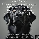 Estoy bien - Capítulos 27 - 28 - 29 - 30 - Audiolibro en Español - Voz real