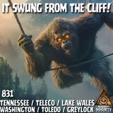 What Really Lurks in Tennessee’s Mountains?