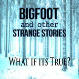 Strange Stories from Dixie Cryptid