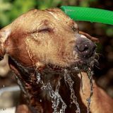 Sky News Radio Podcast - Tuesday 17th July 2018