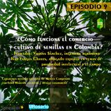 ¿Cómo funciona el comercio y cultivo de semillas en Colombia?