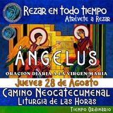 ANGELUS DEL DIA DE HOY JUEVES 28 DE AGOSTO 2025, 🙏ORACION A NUESTRA MADRE 🌹LA VIRGEN MARIA 🙏.