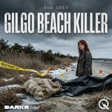 Gilgo Beach Killer - Uncover the shadows of Long Island with Ava Grey