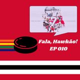 Fala Hawkão 010 - Thank you, Seab