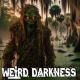 THE MOSS MAN: The Swamp Stalker of the Everglades