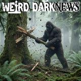 Sasquatch Sightings in Ontario's Least Wild Corner | #WeirdDarkNEWS