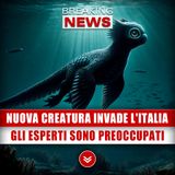 Nuova Creatura Invade L'Italia: Gli Esperti Sono Molto Preoccupati!