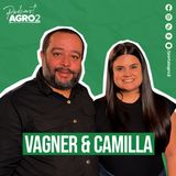 Como o monitoramento ajuda a reduzir acidentes com animais nas rodovias? #464