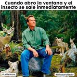 Buenos días, mi nombre es Rusell, soy un guía explorador