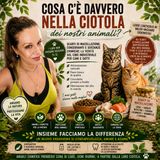 Cosa c'è davvero nella ciotola degli animali?