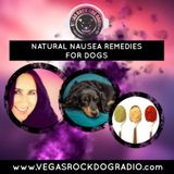 Barking Palace Update And Natural Nausea Remedies