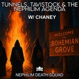 166: Tunnels, Tavistock & The Nephilim Agenda w/ Project Chaney