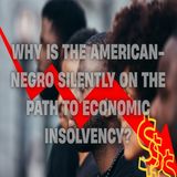 Why Is The American-Negro Silently On The Path To Econmic Insolvency