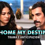 My Home My Destiny 2: La Seconda Stagione Torna Su Canale 5!