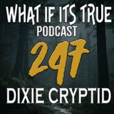Archive 247 Ohio Dogman and Other Horror Stories
