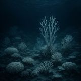 The ocean’s most vibrant cities are turning into underwater graveyards—fast.