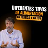 ¿CUÁL ES LA MEJOR ALIMENTACIÓN PARA TU PERRO? 💬