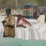 In Sudan la tutela del suolo passa dalla gomma
