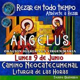 ORACION DEL ANGELUS. HOY LUNES 9 DE JUNIO 2025, 🙏ORACION A NUESTRA MADRE 🌹LA VIRGEN MARIA 🙏.