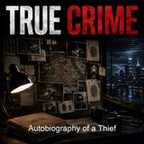Autobiography of a Thief - Hutchins Hapgood