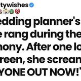 Wedding planner_s phone rang during the ceremony. After one look_ she screamed _EVERYONE OUT NOW