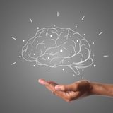 Ringiovanire il cervello a tavola: castagne, olio e grano saraceno per nutrire la mente