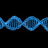 Preventing the Unknown: Genetic Testing with Dr. Stuart Kim