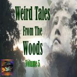 Weird Tales from the Woods | Volume 5 | Podcast E361