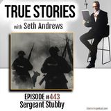 True Stories #443 - Sergeant Stubby