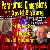 Paranormal Dimensions - David Halperin - The Hidden Story of the UFO - 03/22/2021