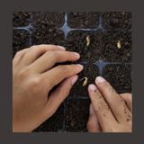 #180 Perché propagare piante in autonomia migliora il tuo giardino