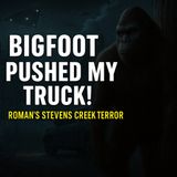 Followed, Screamed At & Confronted by Bigfoot – Roman’s South Carolina Encounters (Stevens Creek)