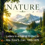 Letters to a Friend Written to Mrs Ezra S Carr 1866-1879 - John Muir