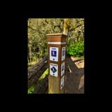 Harrop & the South Ridge trail